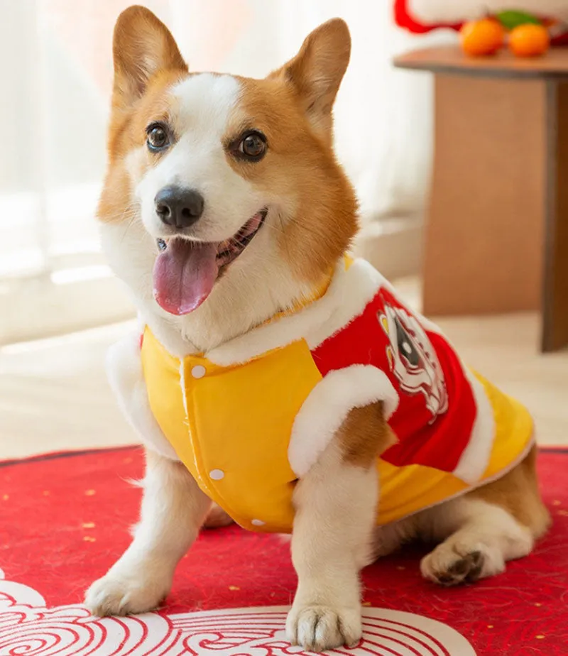 Autumn and winter Corgi New Year Tang suit for small and medium-sized dogs Dachshund two-legged warm cotton coat bench dog pet dog clothes