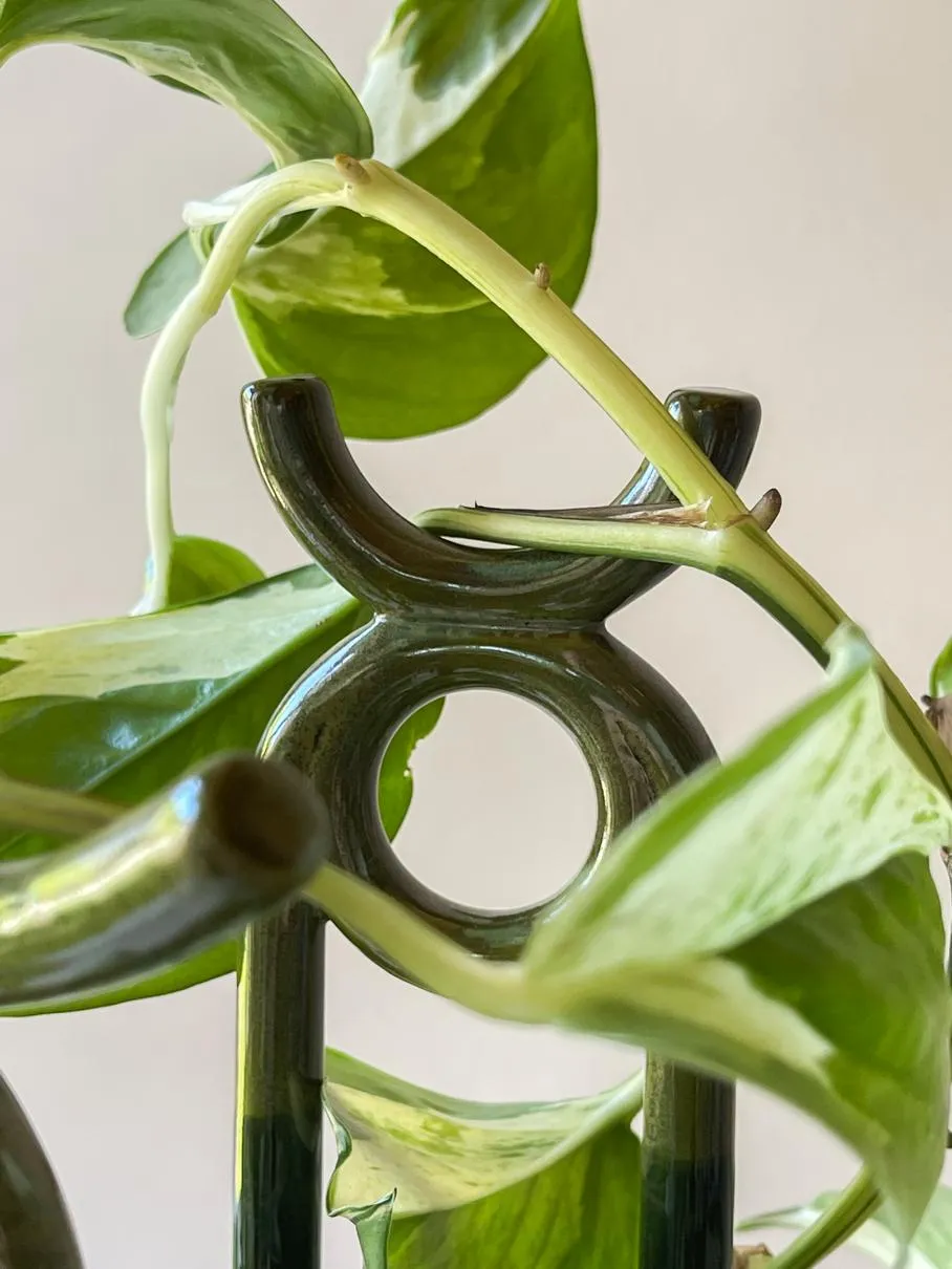Bergs' Potter Oni Glazed Moss Green Plant Stake