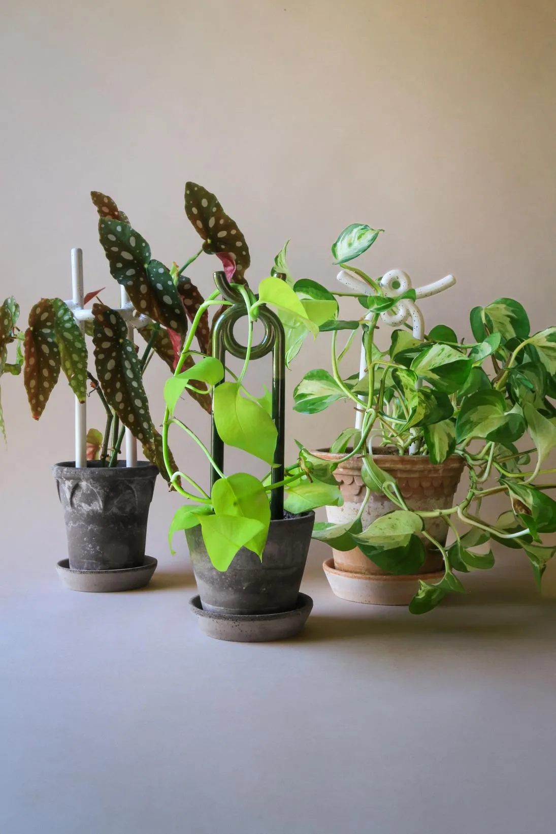 Bergs' Potter Oni Glazed Moss Green Plant Stake