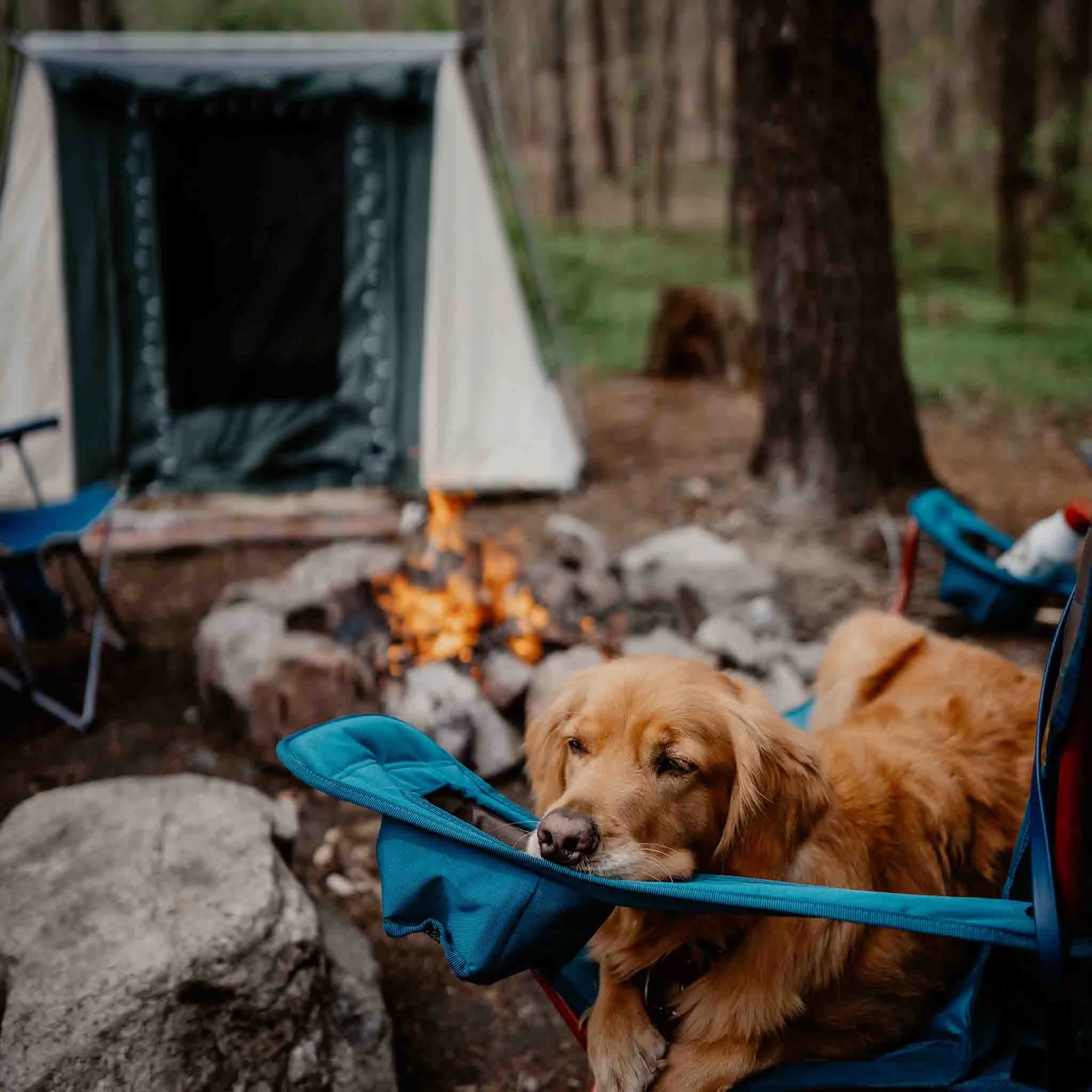 Prota Canvas Tent Deluxe 7'X9'